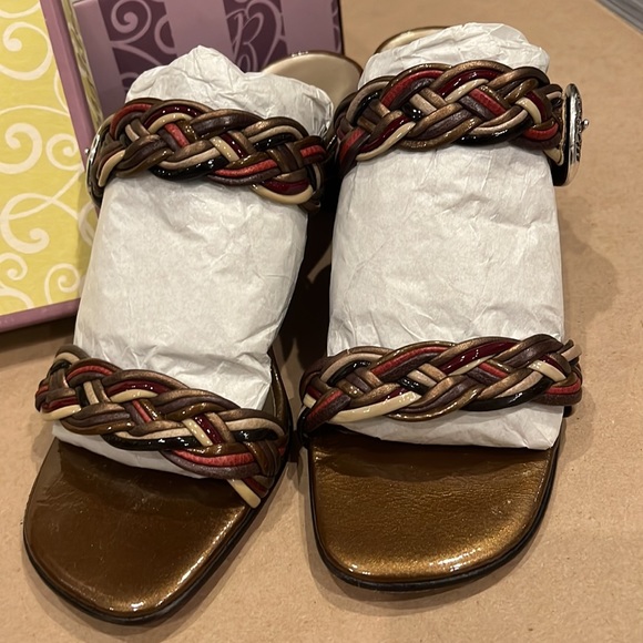 BrightonFootwear 8 - Picture 6 of 15